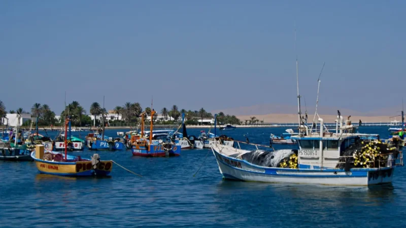 Local_Fishing_Docks_–_Daily_coastal_life__01