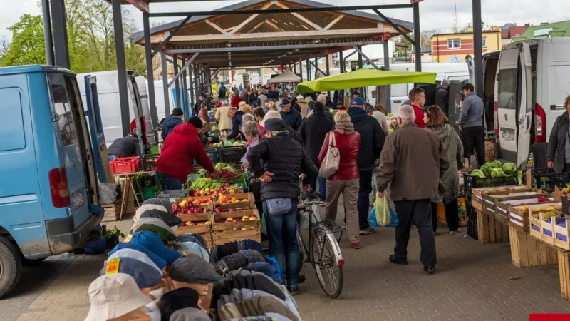 Local_Food_Markets_03