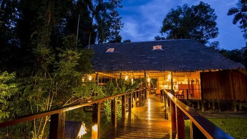 Local_Jungle_Lodges_–_Guided_nature_experiences__03