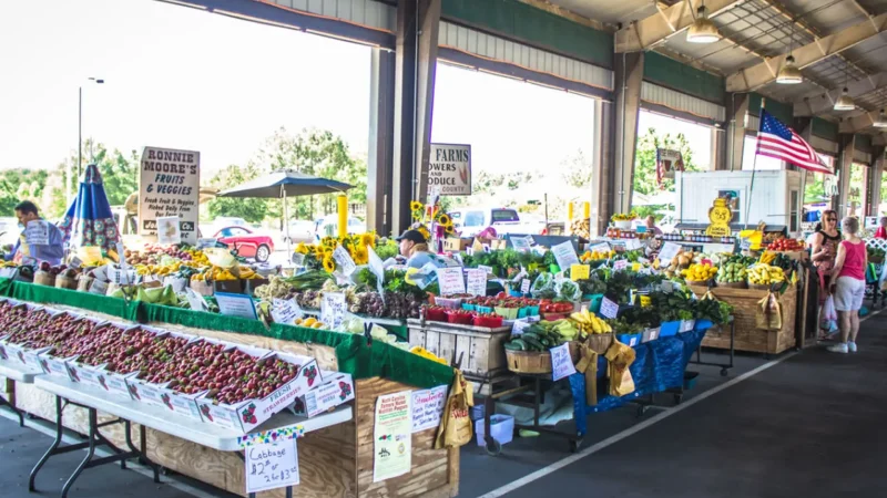 Local_Markets_тАУ_Regional_produce_04