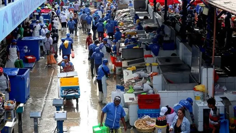 Local_Markets_–_Daily_life_and_produce__03