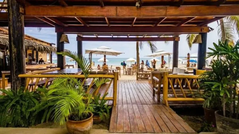 Local_Seafood_Restaurants_–_Fresh_coastal_cuisine__01