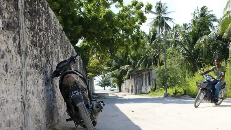 Local_Village_Area_–_Daily_island_life_scenes__02