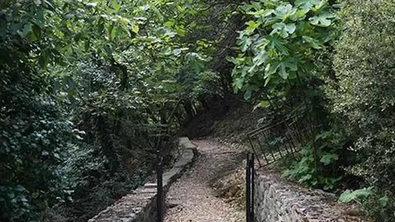Local_Walking_Trails_02