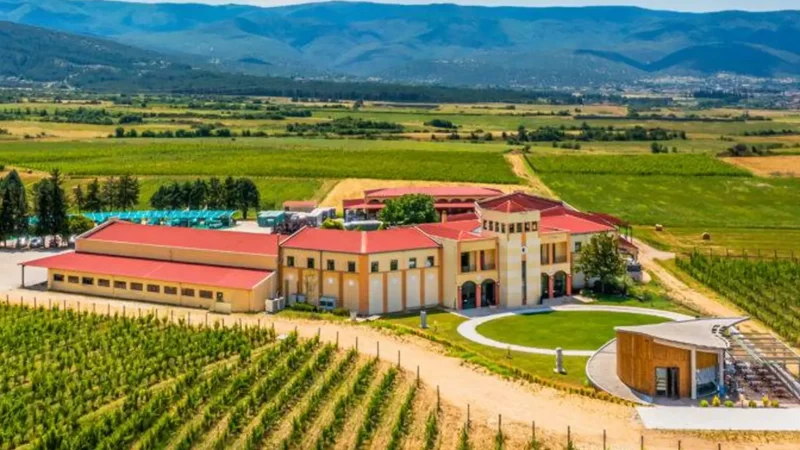 Local_Wineries_03