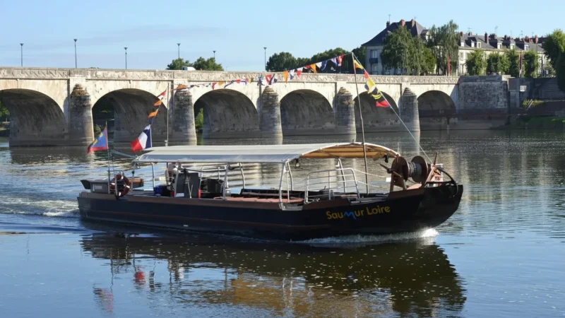 Loire River Boat Tours(5)