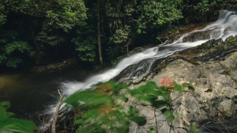Long Langsat Waterfall(6)