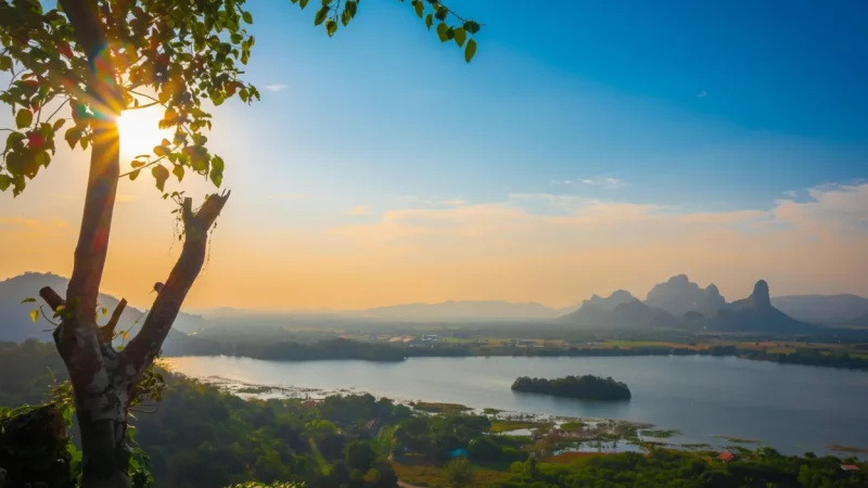 Long Phước Lake – Peaceful water scenery(4)