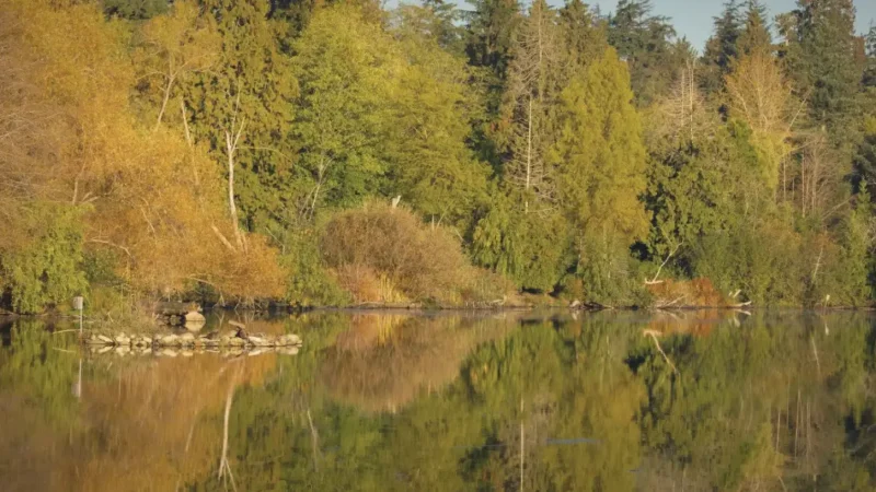 Lost Lagoon – Quiet Walking Area(3)