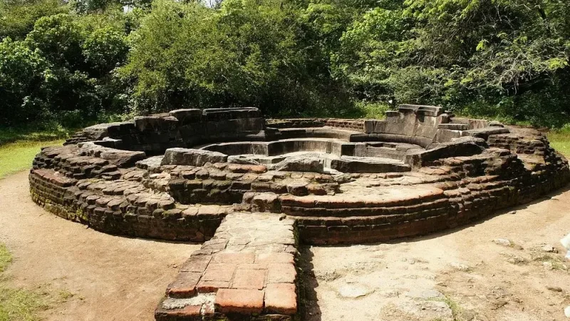 Lotus Pond (Nelum Pokuna)6