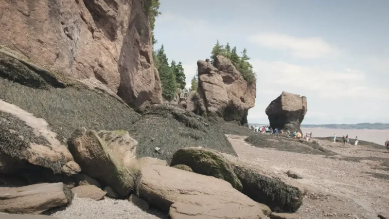 Lower Cove Beach(4)
