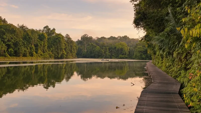 Lower Peirce Reservoir Park(1)