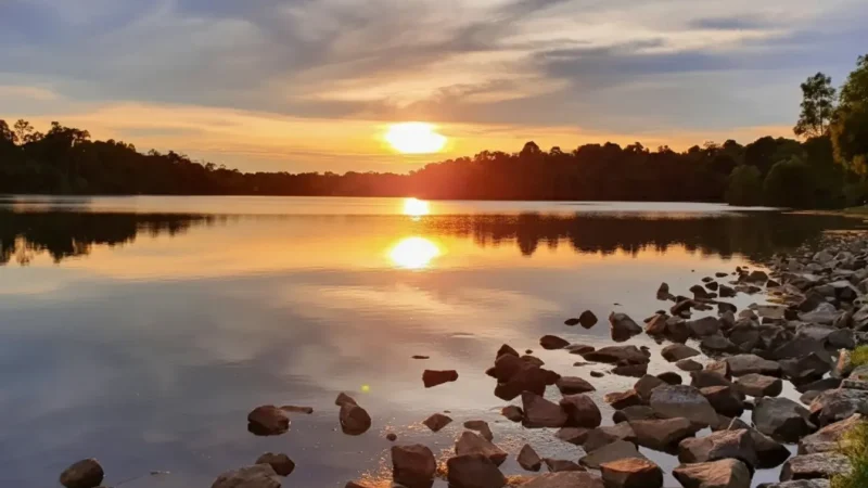 Lower Peirce Reservoir(1)