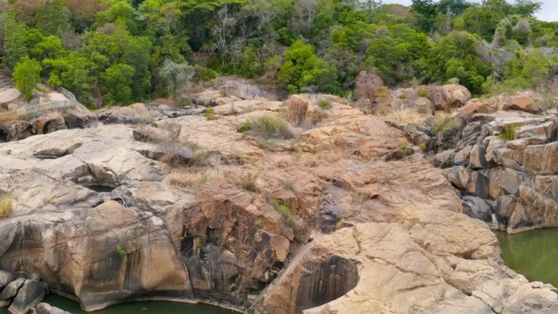 Lowveld_National_Botanical_Garden_тАУ_Indigenous_plants_and_river_views_01
