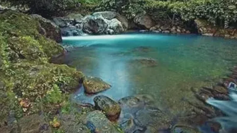 Lubuk Paraku Natural Pool(5)