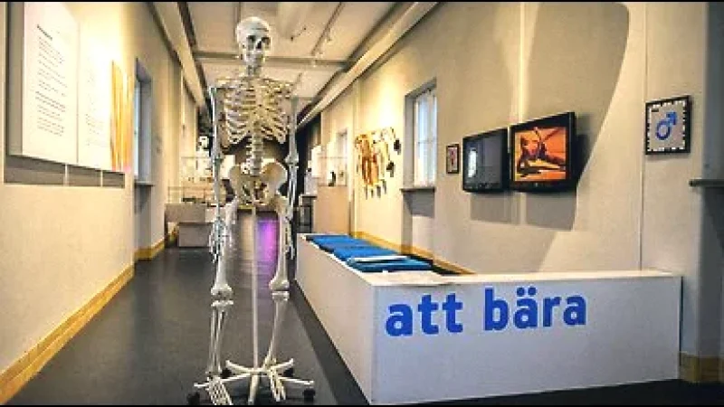 Lund Historical Museum(2)