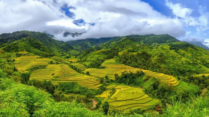 Lung Tao Terraced Fields – Scenic agriculture(2)