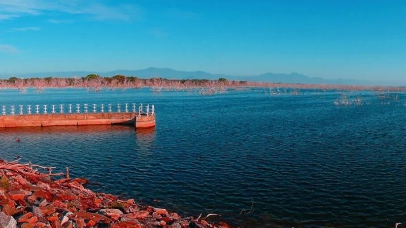 Lunugamvehera National Park6