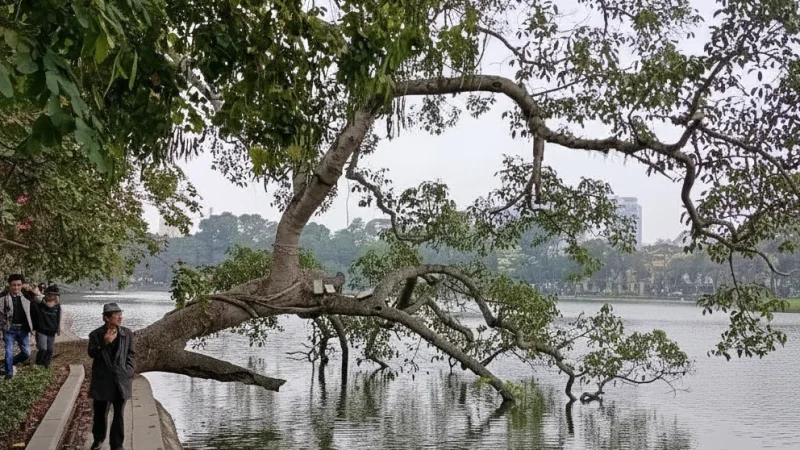 Ly Thai To Park – Peaceful Green Space(4)