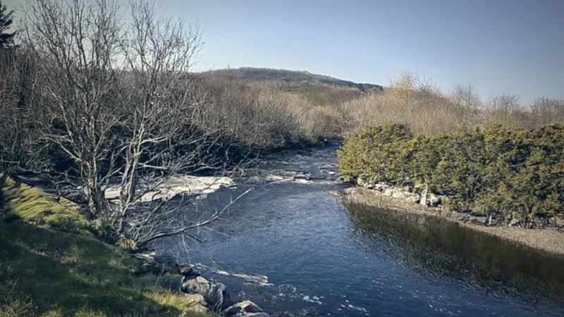 Łyna River Walking(3)