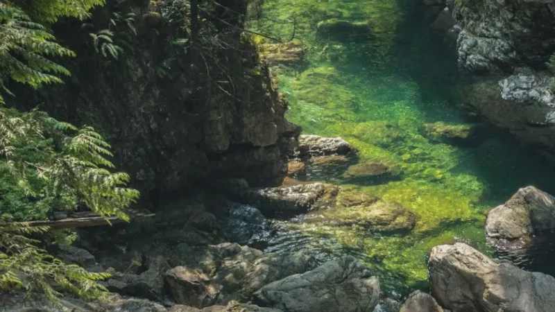 Lynn Canyon Park – Nearby access(4)