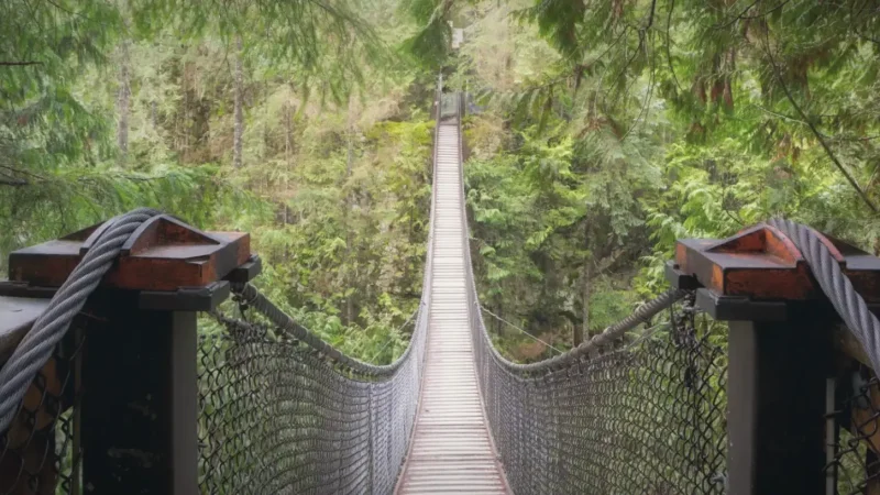Lynn Canyon Park(2)