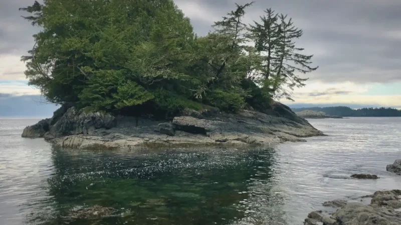 Mackenzie Beach – Calm family beach(3)