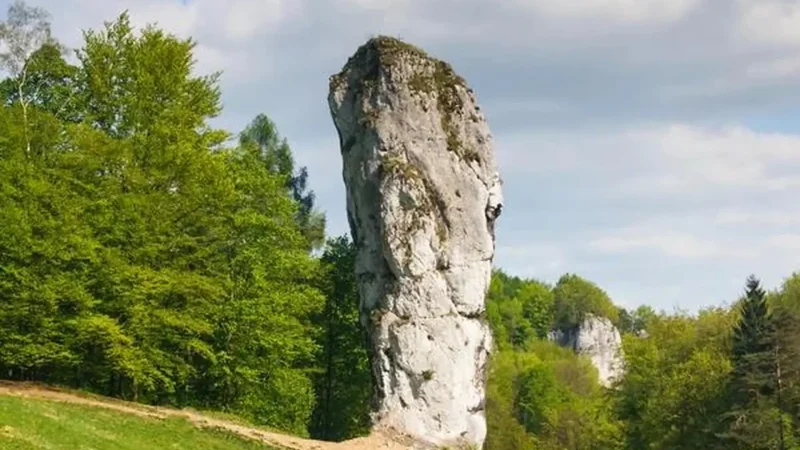Maczuga_Herkulesa_02