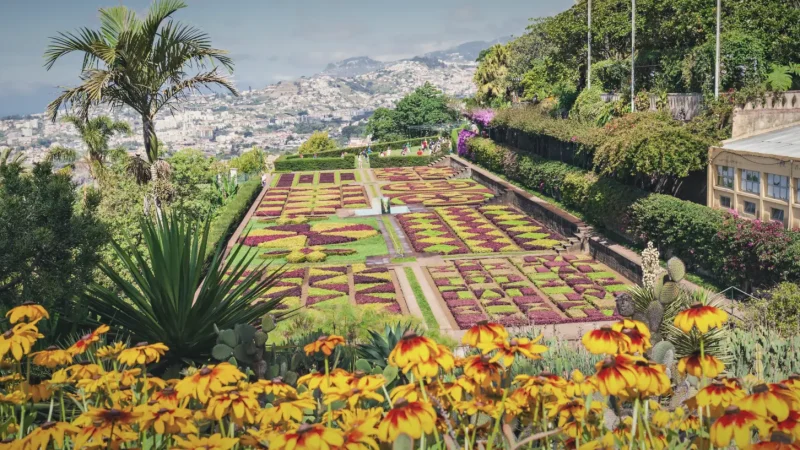 Madeira Botanical Garden – Exotic plants & views(1)