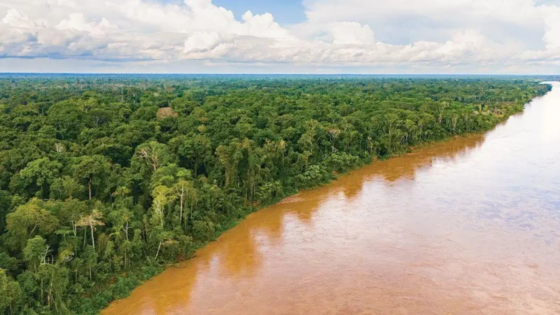 Madre_de_Dios_River_–_Scenic_jungle_waterway__03