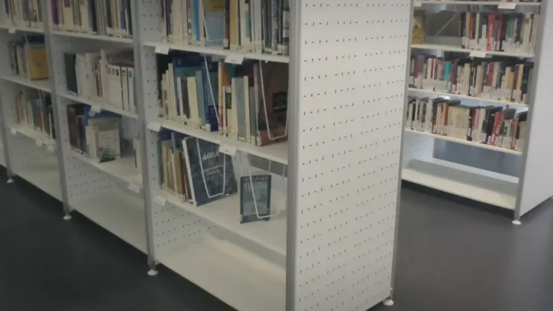Maia Municipal Library(4)