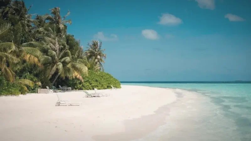Main Beach (Calm Swimming Area)(6)