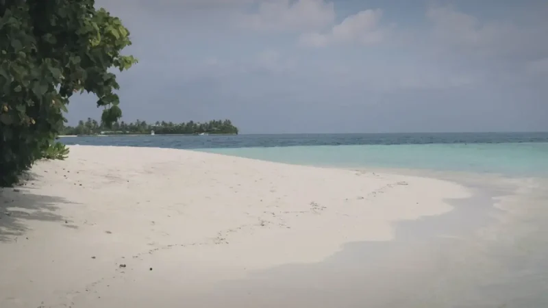 Main Beach – Wide soft-sand beach ideal for swimming(2)