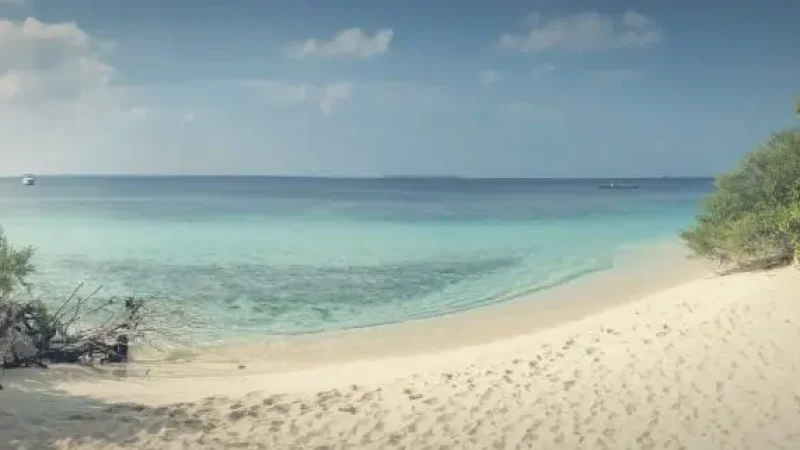Main Beach – Wide white-sand beach ideal for swimming(5)