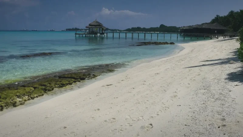 Main Beach(2)