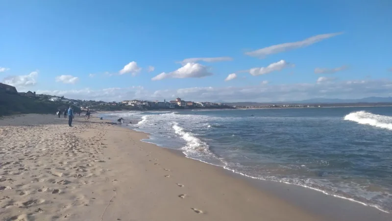 Main_Beach_тАУ_Swimming_and_family_activities_02
