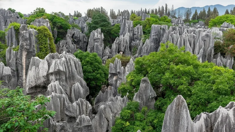 Major Stone Forest – Tall stone pillars and paths(2)