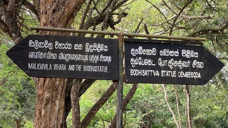 Maligawila Buddha Statue1