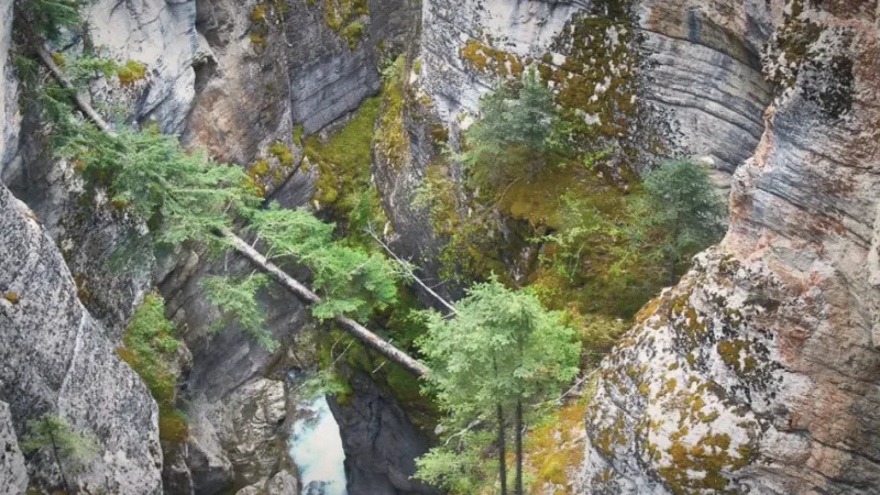 Maligne Canyon(3)