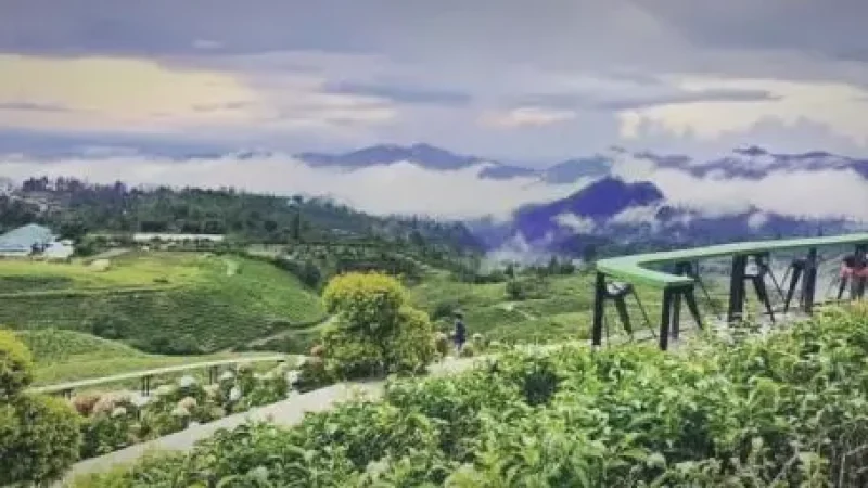 Malino Highlands(2)