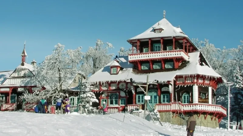 Maměnka Building – Iconic Wooden Structure(1)