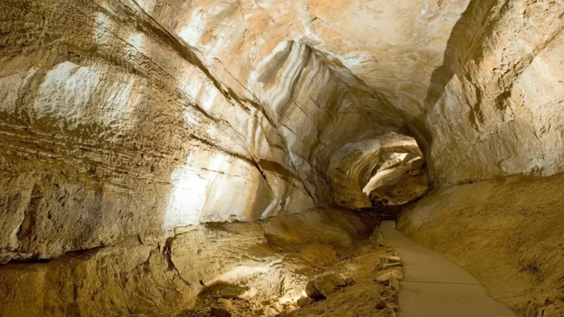 Mammoth Cave Area – Vast Cave Passages(1)