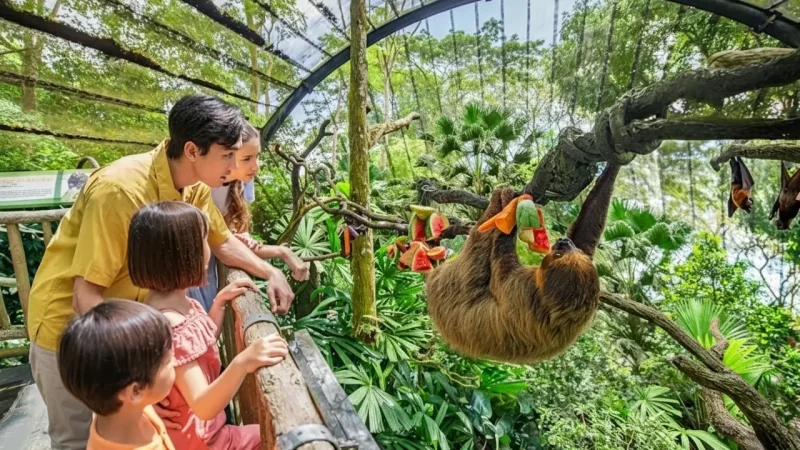 Mandai Wildlife Reserve(1)