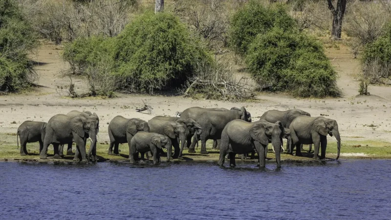 Mankwe_Dam_тАУ_Wildlife_gathering_point_04