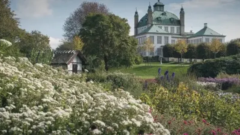 Manor House Gardens – Landscaped parks(4)