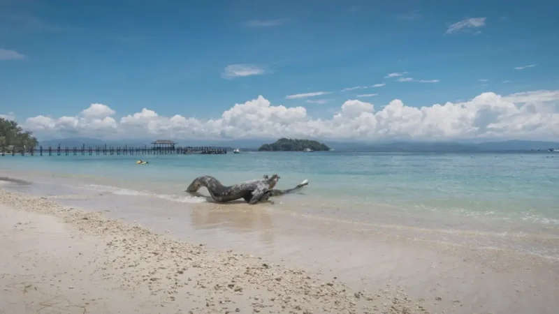 Manukan Island(3)