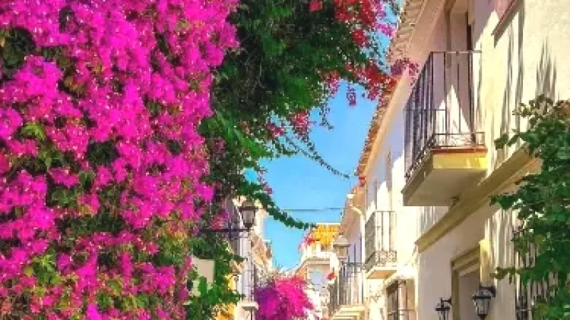 Marbella Old Town(3)