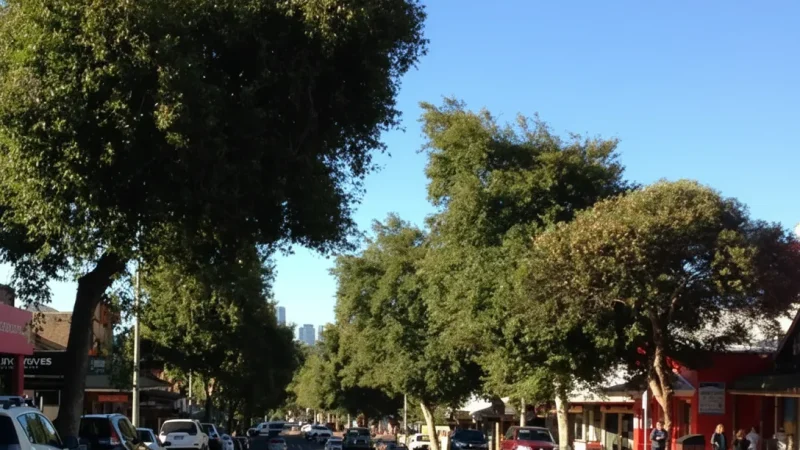 Margaret River Town – Cafes, shops, markets(4)