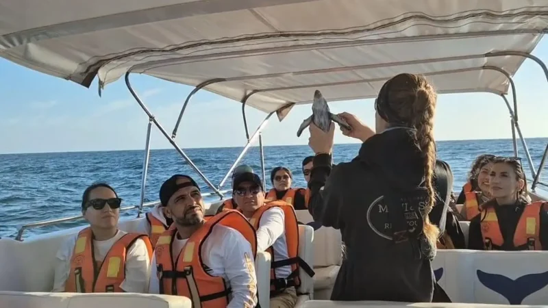 Marine_Wildlife_Areas_–_Dolphin_sightings__06