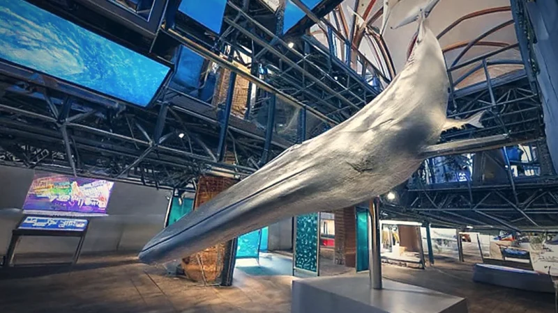 Maritime Museum(5)